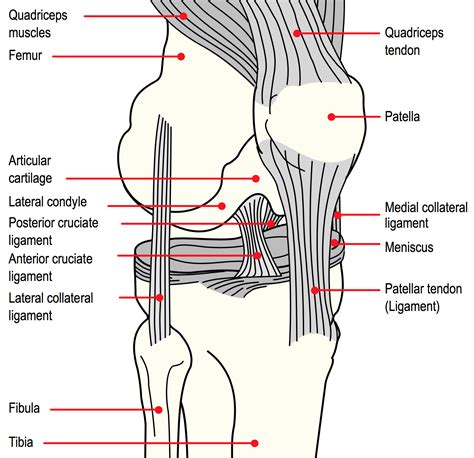 Ligamentskada knä symtom